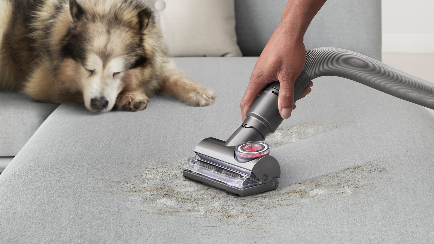 Dyson Ball Animal 3 De-Tangling Vacuum For Homes with Pets